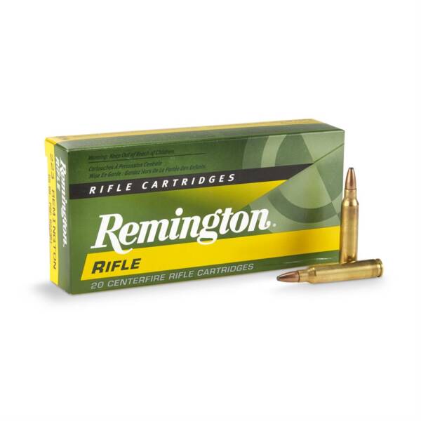 223 REMINGTON 55-GR 20-PK