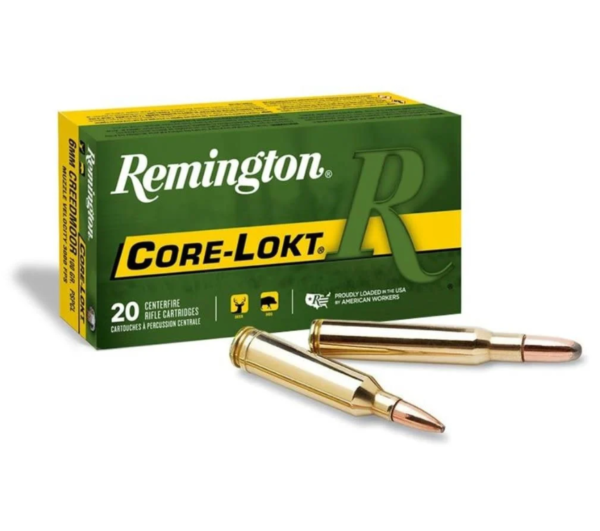 REMINGTON 250SAV 100GR CORE-LOKT AMMO