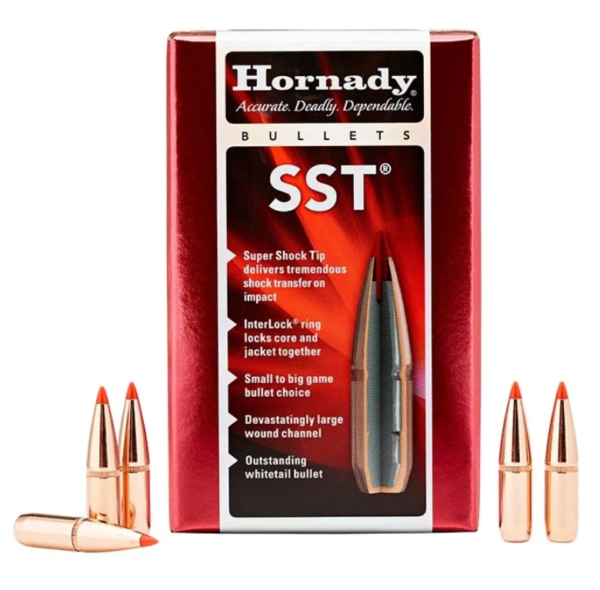 HORNADY 6.5MM 123GR SST 100CT