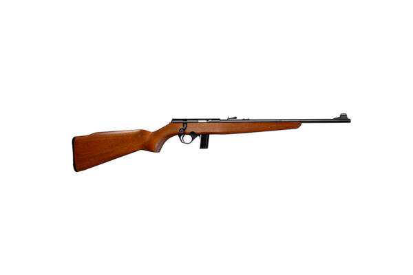 MOSSBERG 802 22LR PLINKSTER WOOD BLT ACT