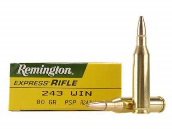 REM 243WIN 80GR PSP AMMO