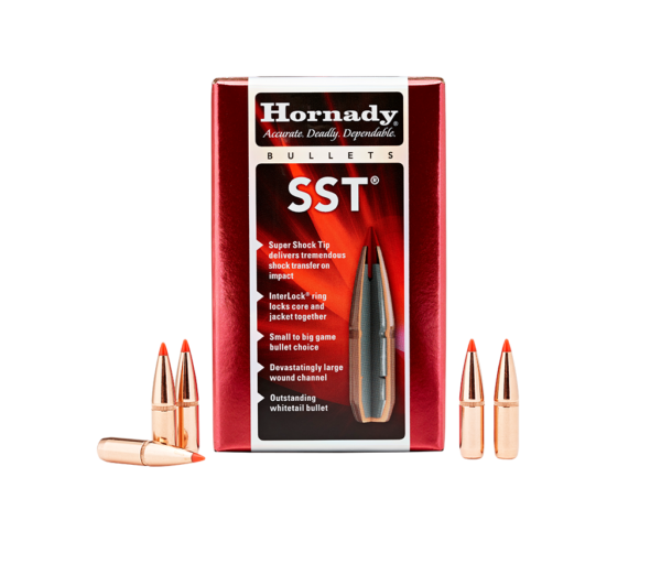 HORNADY 30CAL 180GR SST BULLET