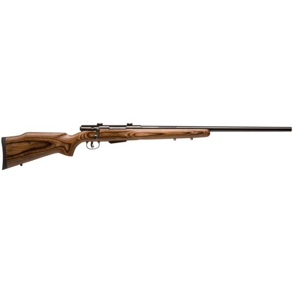 SAVAGE 25 LWT 204RUGER