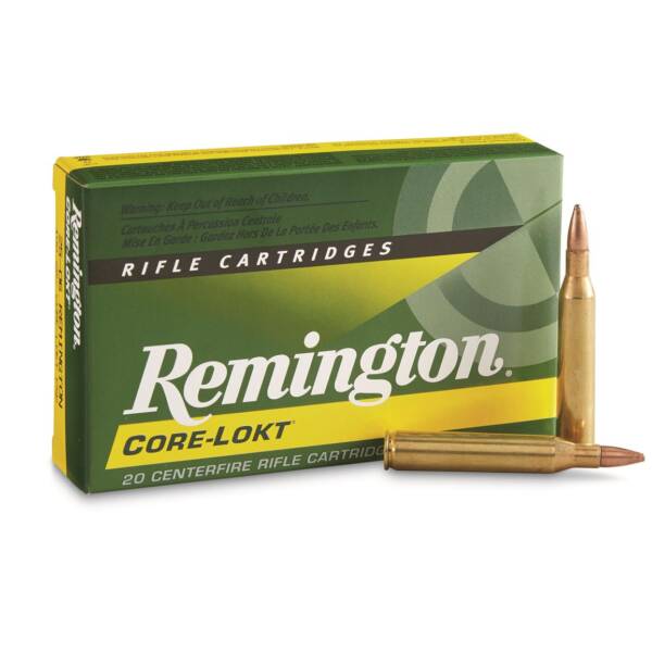 REM 25-06REM 100GR CL AMMO