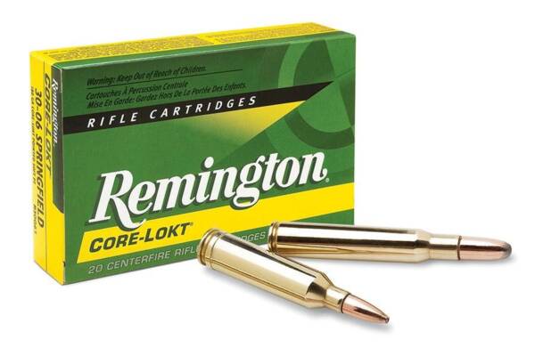 REM 17CAL 25GR VARMINT