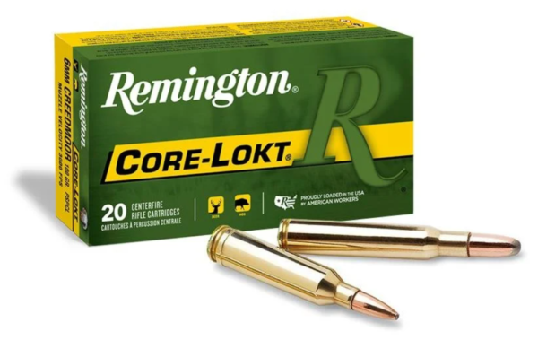 REM 30-06SPRG 220GR AMMO