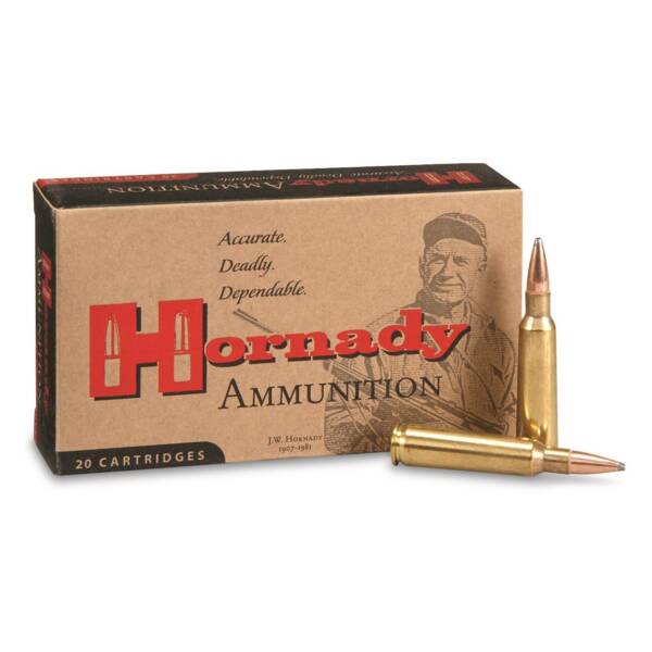 HORNADY 250SAVAGE 100GR AMMO