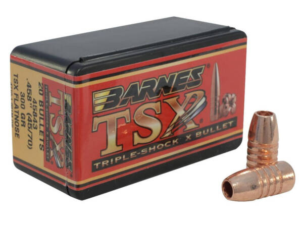 BARNES .458IN 300GR TSX BULLET