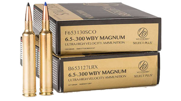 6.5-300 WBY MAGNUM 130GR