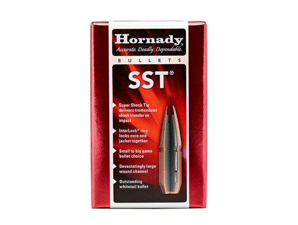 D1 243 95 GR HORNADY BULLETS