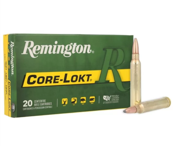 REMINGTON 300 WIN MAG 180GR PSP