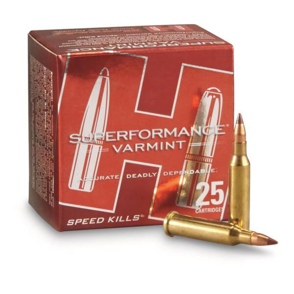 HORNADY 17 HORNET 15.5 GR NTX