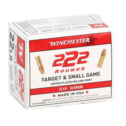 22 LONG RIFLE 36-GR 222-PK