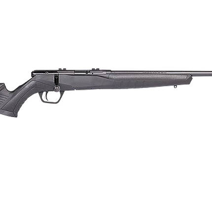 SAVAGE 22LR B22 F COMPACT 10RD BLACK 18IN 70214