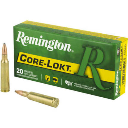 REMINGTON 250 SAVAGE 100GR CORE-LOKT PSP
