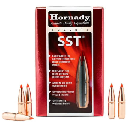 HORNADY 6.5MM 123GR SST 100CT 26173