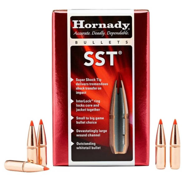 HORNADY 6.5MM 123GR SST 100CT 26173