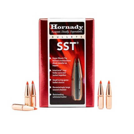 HORNADY 30CAL 180GR SST 100CT 30702
