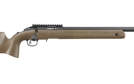 RUGER AMER 22LR LONG RANGE TARGET
