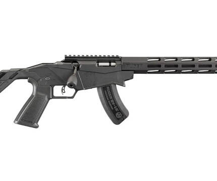 RUGER PRECISION BOLT 22WMR