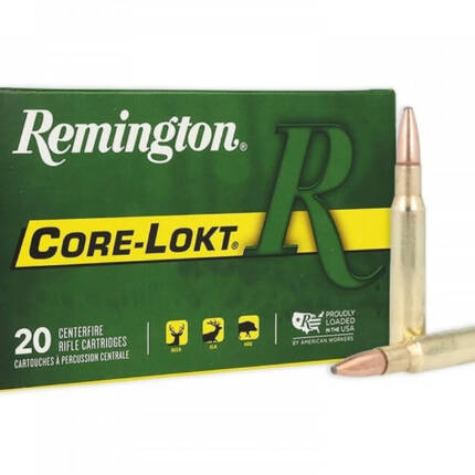 AMMO REM 30-06 180GR