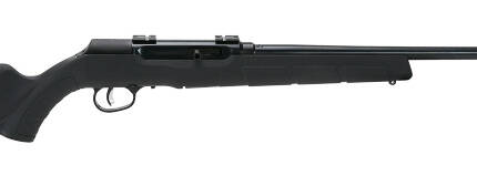 SAVAGE A22 FNS 22LR