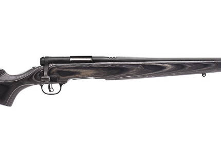 SAVAGE BMAG 17WSM SPORTER