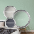 IMAGINE PAINTS Color Of The Month