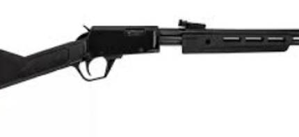 ROSSI GALLERY 22LR WOOD 18IN 15RD PUMP RP22181WD