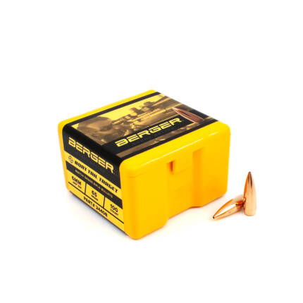 6MM 65GR BT TARGET 100CT 24408