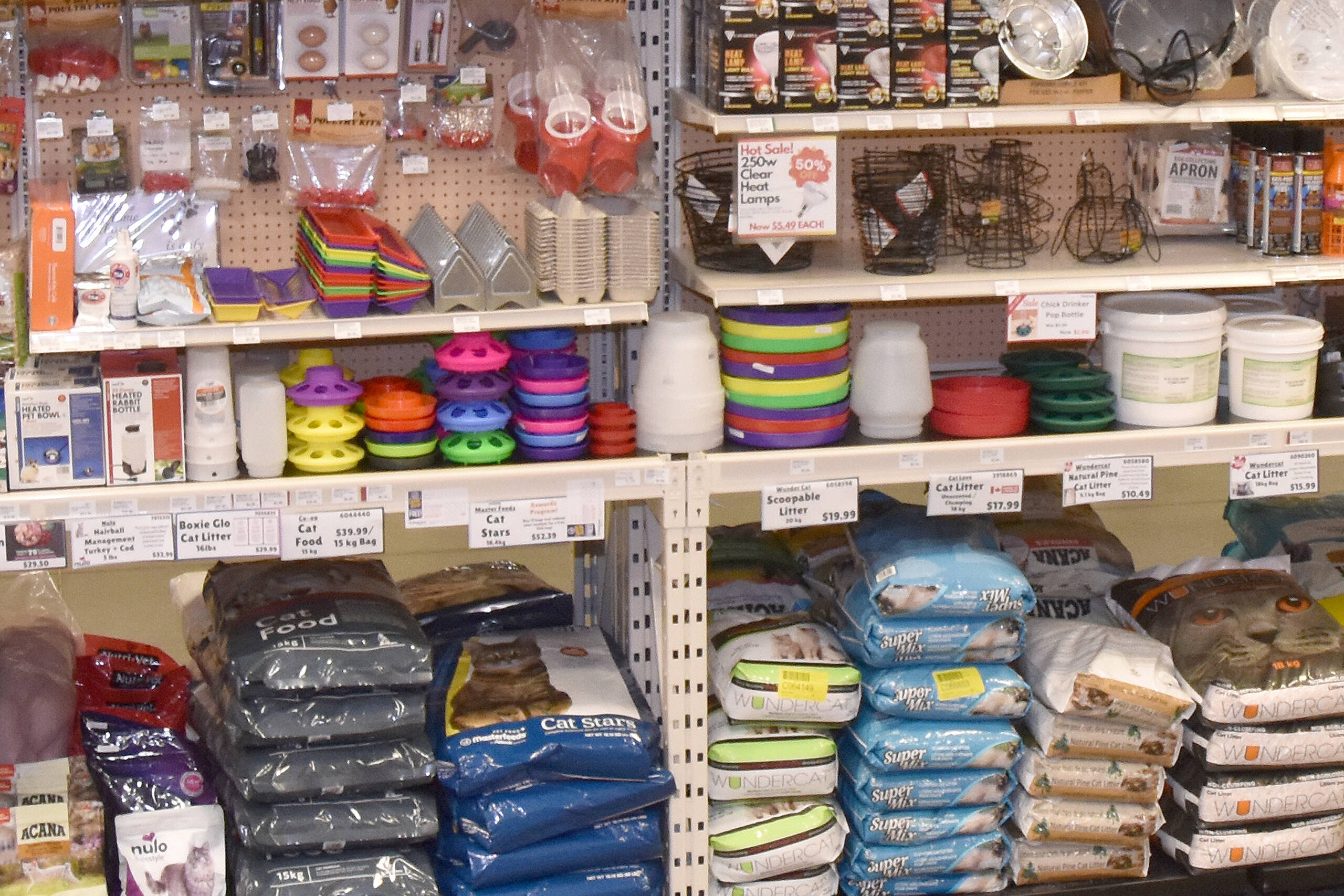 Pet Food & Accessories