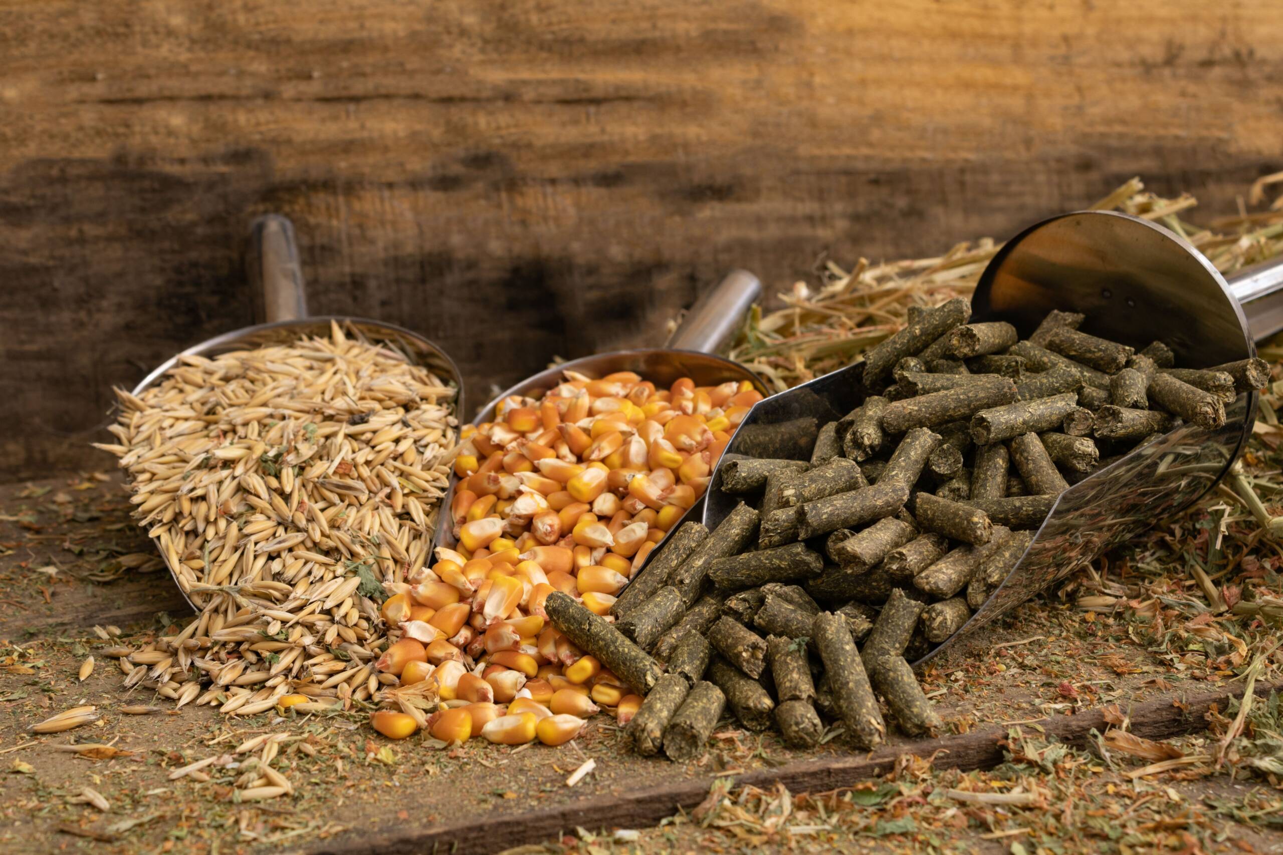 Feed, Minerals & Supplements