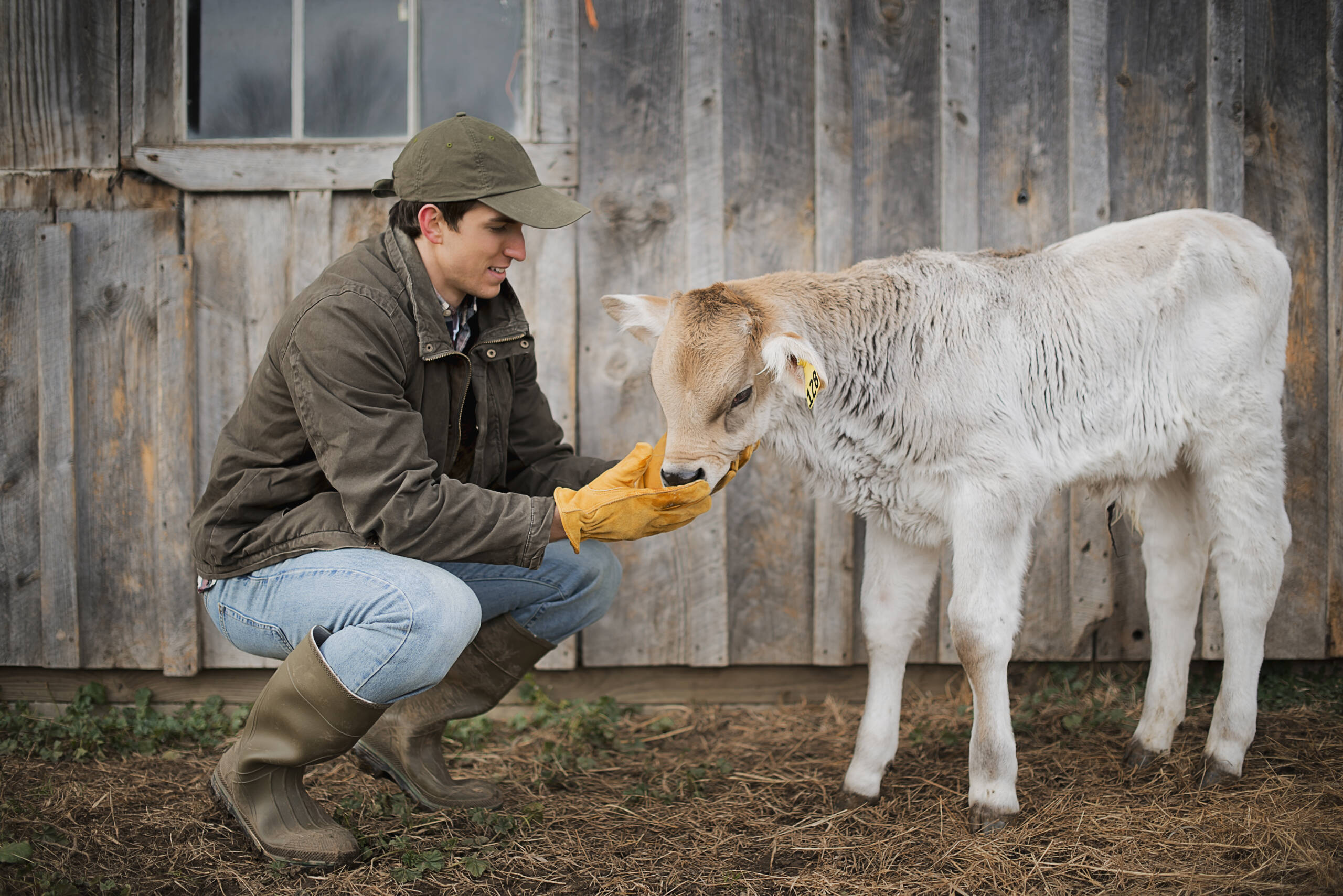 Calving Supplies