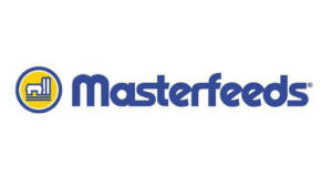 masterfeeds_BLOG