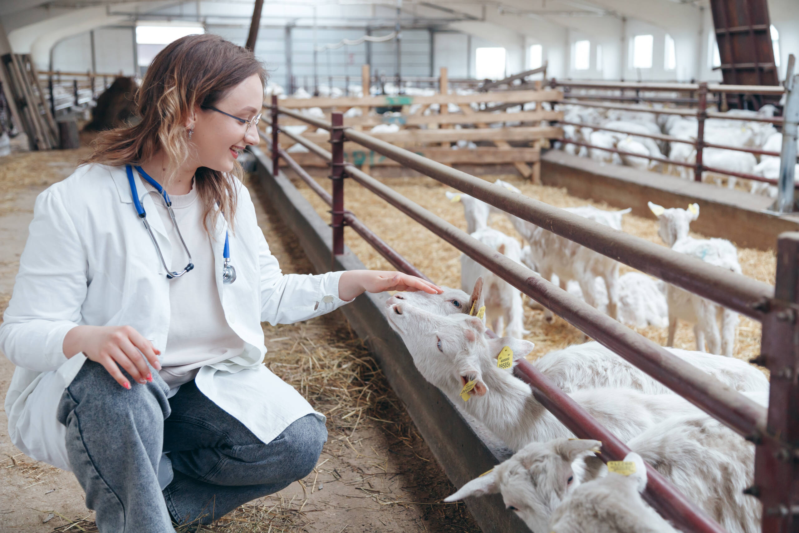 Animal Health