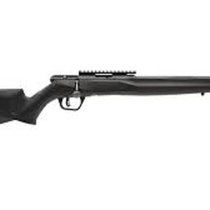 SAVAGE 22LR B SERIES FV-SR BLK 10RD 16.25IN BOLT 70203