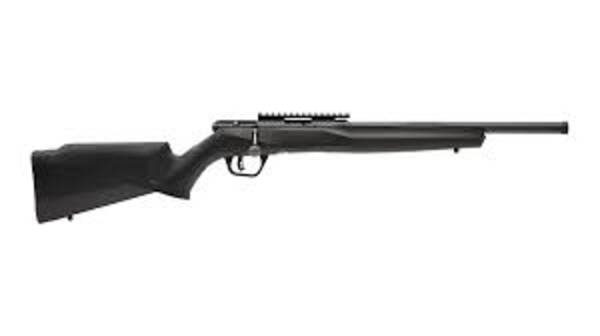 SAVAGE 22LR B SERIES FV-SR BLK 10RD 16.25IN BOLT 70203