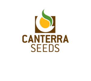 Canterra Seeds logo