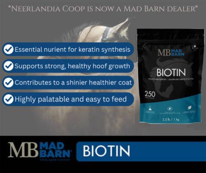 Ads for Website 01.26 Mad Barn