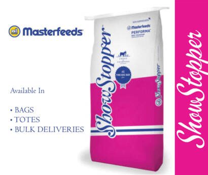 Ads for Website 01.26 ShowStopper