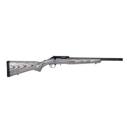 RIMFIRE TARGER 22LR