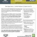NEER AGRO NEWS October 2026