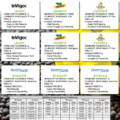 GROW TEAM Canola Seed Programs