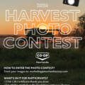 FOOD STORE Harvest Photo Contest 2026