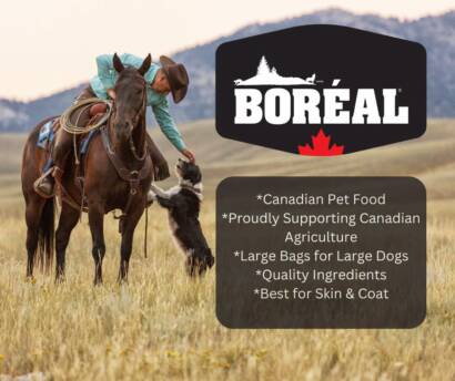 Boreal 09.21.26 818353533_4151856471779958_5959350871016328667_n