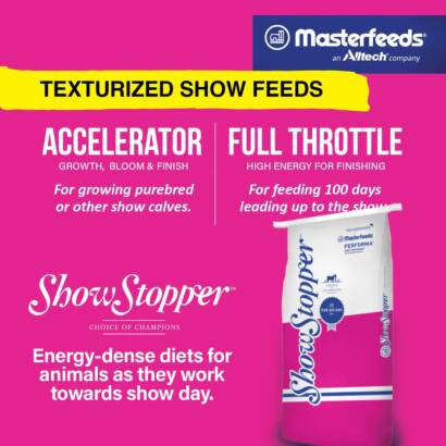 Masterfeeds 09.21.26 795664592_1776520983598184_7686809739871112710_n